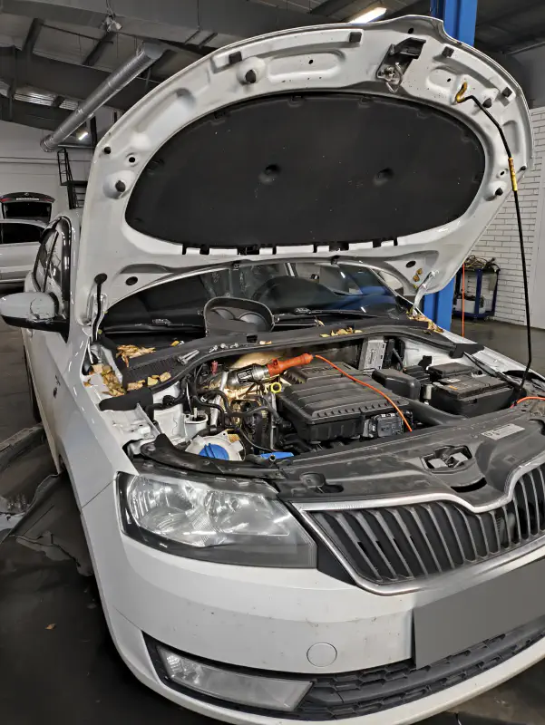 Skoda Rapid — фото из автосервиса