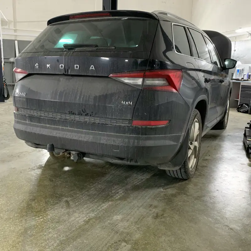 Skoda — фото из автосервиса