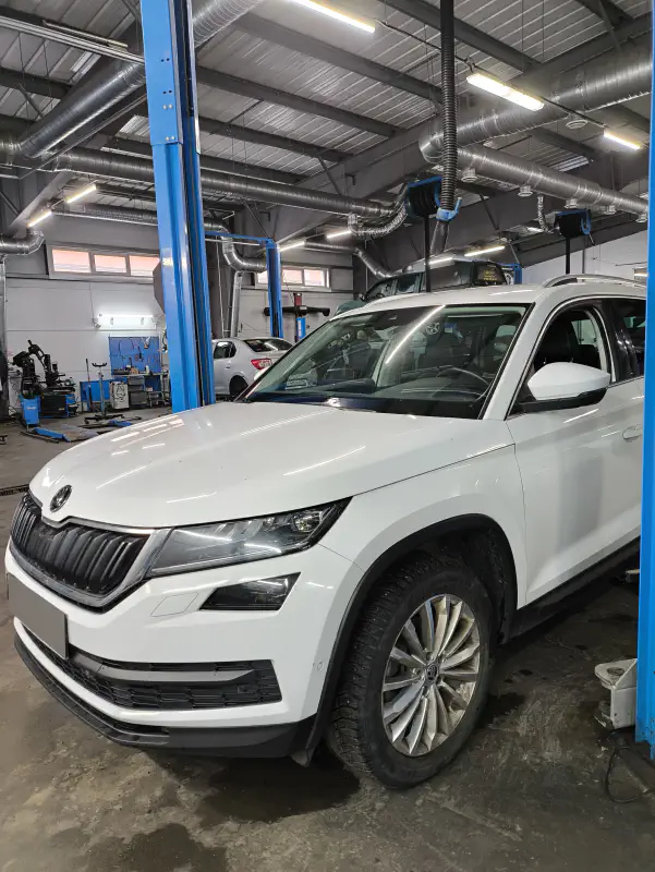 Skoda — фото из автосервиса